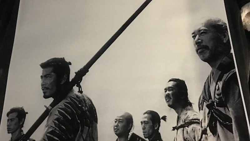 家庭草坪病虫害防治注意事项