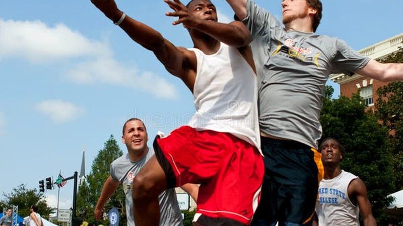 写字楼绿植租摆的价格并非一成不变，它由以下几个因素构成：