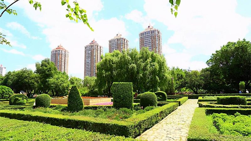 草坪防杂草无纺布：守护绿色，从源头开始