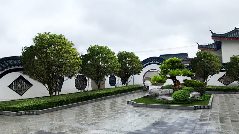 立体绿化植物病虫害防治：关键环节与预防策略**