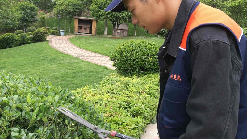 小区绿化施工合同范本：关键条款与注意事项**