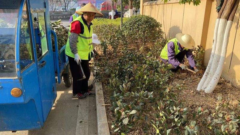 成都道路绿化设计：如何打造宜居城市绿廊**