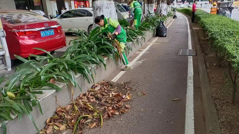 别墅庭院绿化养护，多久一次最适宜？**