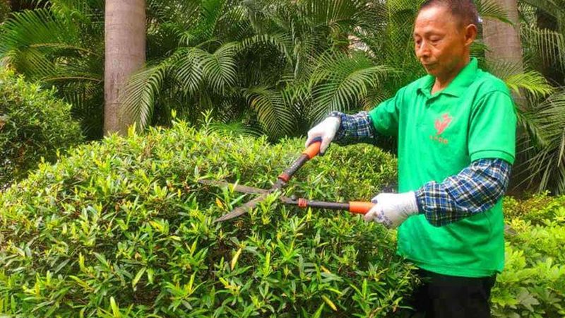 园林工程报价流程揭秘：如何规避陷阱，选择优质品牌
