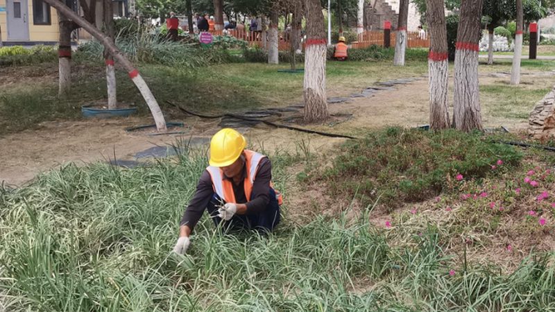 边坡绿化工程招标文件：关键要素与注意事项**