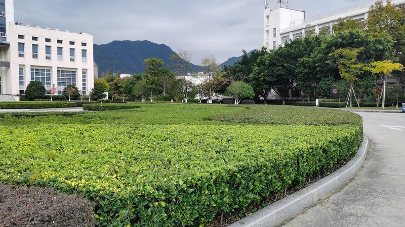 园林假山喷泉循环泵清洗流程全解析