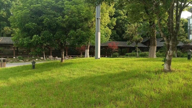 高羊茅草坪越冬，这些关键点你掌握了吗？**