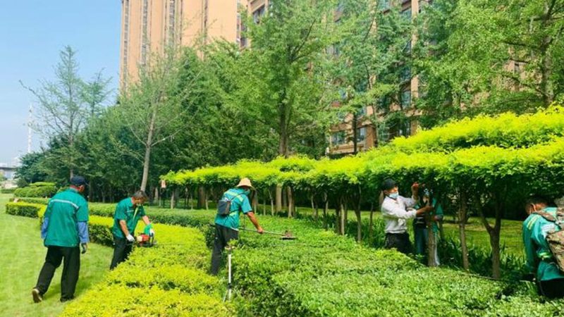 绿化资质代办，从申请到拿证到底怎么走